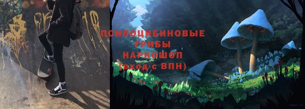 СК Аркадак