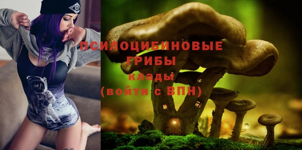 альфа пвп Армянск