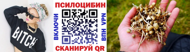 Купить закладки Остров Галлюциногенные грибы мухоморы
